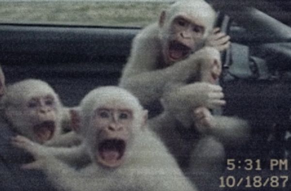 This Shouldn’t Exist on Tape