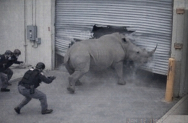 This Shouldn’t Be on Security Camera