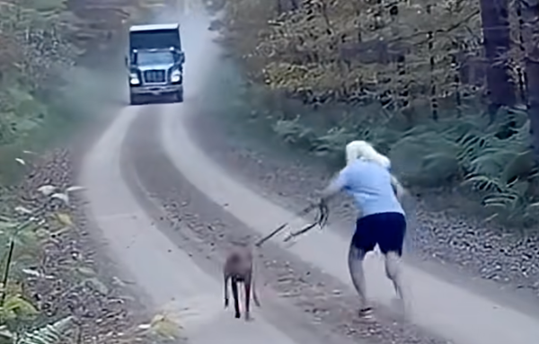 Runaway Garbage Truck Caught on Cam